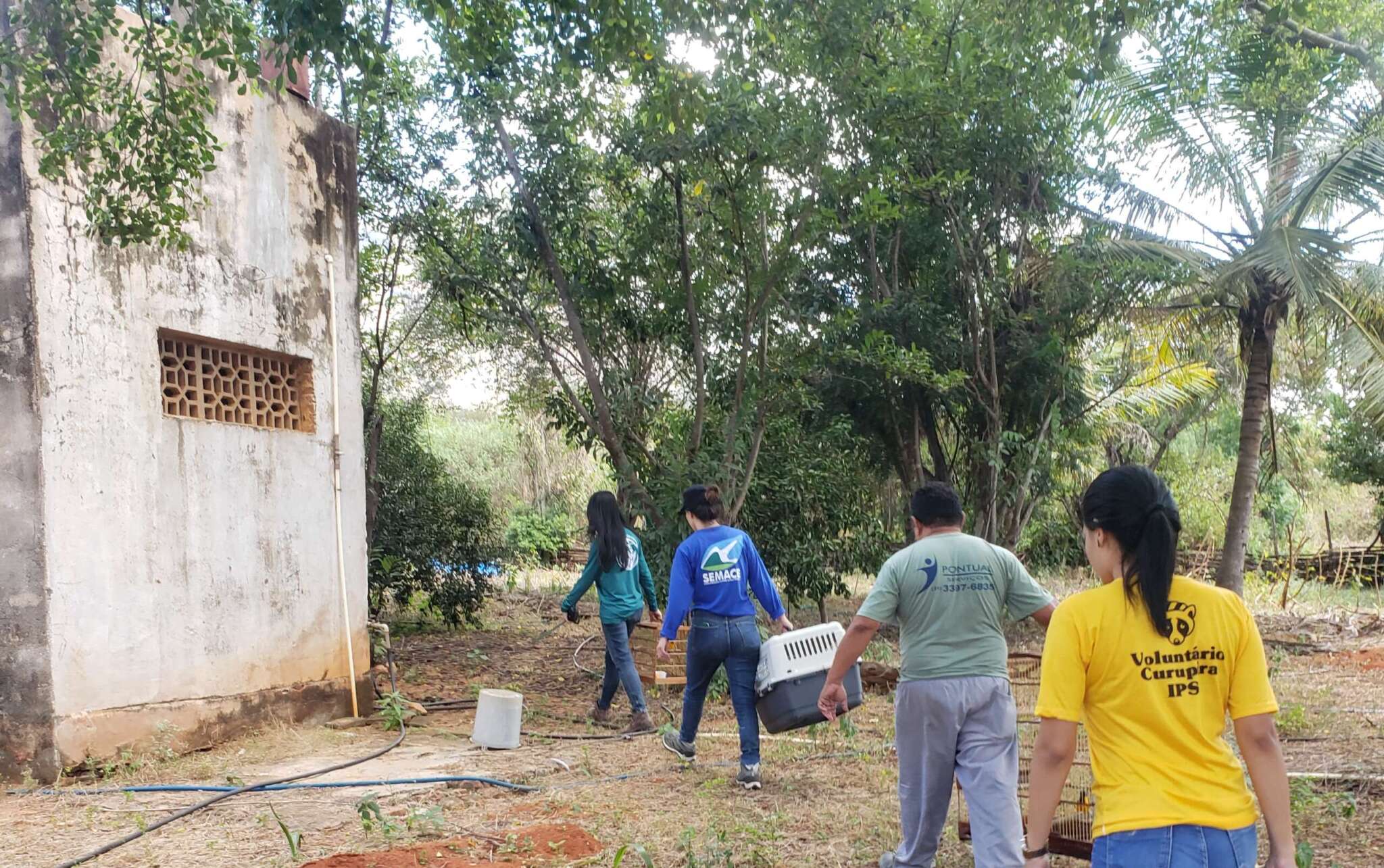 Semace Realiza Soltura De Animais Silvestres Institui Es Parceiras